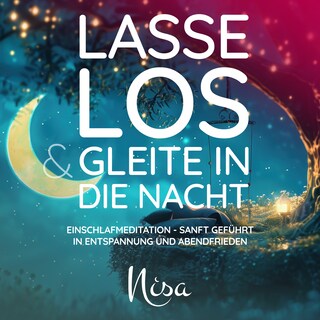 Lasse los & gleite in die Nacht als Hörbuch