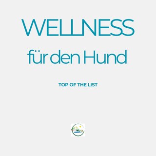 Wellness für den Hund als Hörbuch