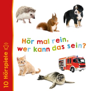 Hör mal rein, wer kann das sein? - Alle Hörspiele als Hörbuch