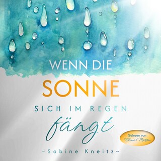 Wenn die Sonne sich im Regen fängt als Hörbuch