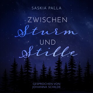 Zwischen Sturm und Stille als Hörbuch