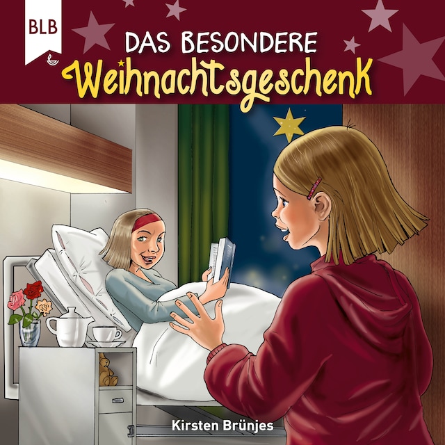 Book cover for Das besondere Weihnachtsgeschenk