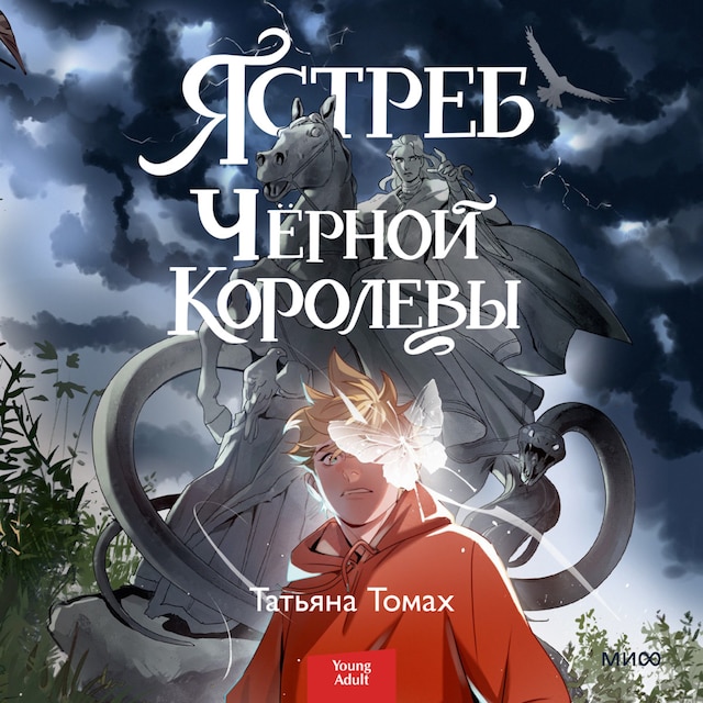 Book cover for Ястреб Черной королевы