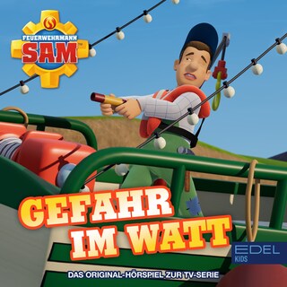 Folge 168: Gefahr im Watt (Das Original-Hörspiel zur TV-Serie) als Hörbuch