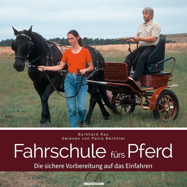 Buchcover für Fahrschule fürs Pferd