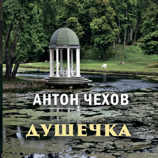 Book cover for Душечка