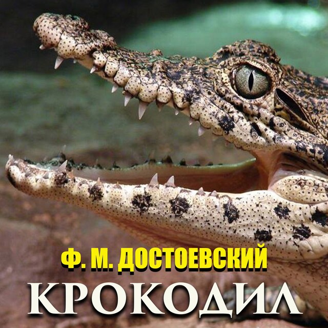 Couverture de livre pour Крокодил