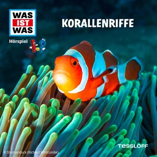 Korallenriffe als Hörbuch