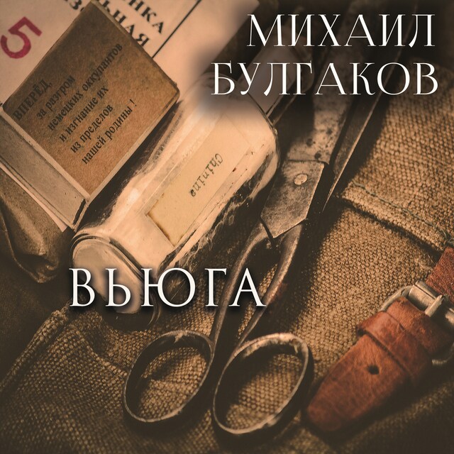 Book cover for Вьюга