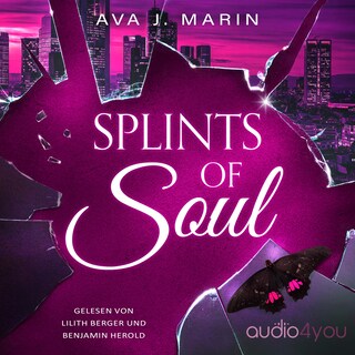 Splints of Soul als Hörbuch