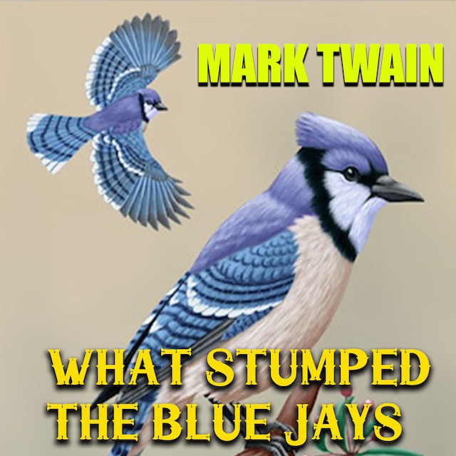 Kirjankansi teokselle What Stumped the Blue Jays