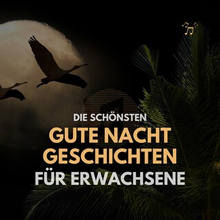 Die schönsten Gute Nacht Geschichten für Erwachsene als Hörbuch