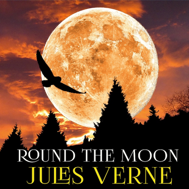 Couverture de livre pour Round the Moon