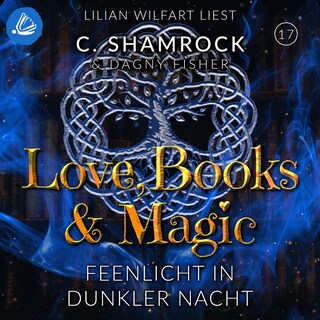 Feenlicht in dunkler Nacht als Hörbuch