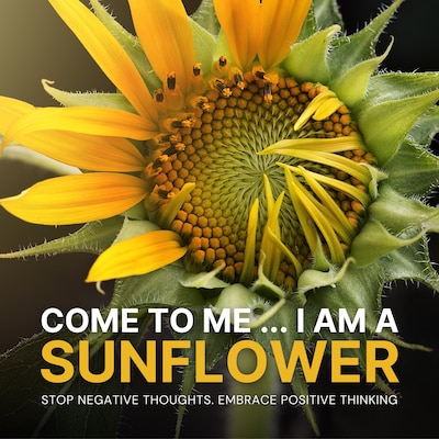 Come to Me: I Am a Sunflower