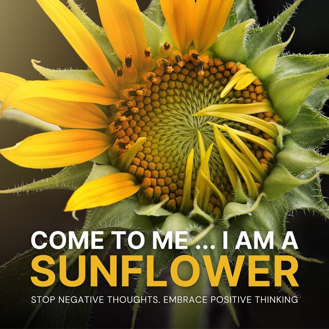 Book cover for Come to Me: I Am a Sunflower