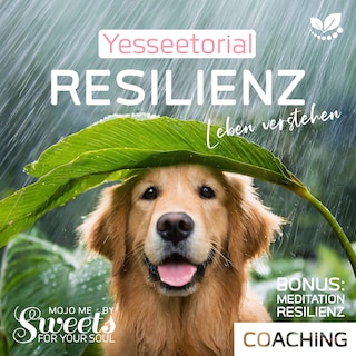 Resilienz, die 7 Säulen der mentalen Stärke, mit Selbsttest im Hörbuch zur Stärkung deiner inneren Widerstandskraft als Hörbuch