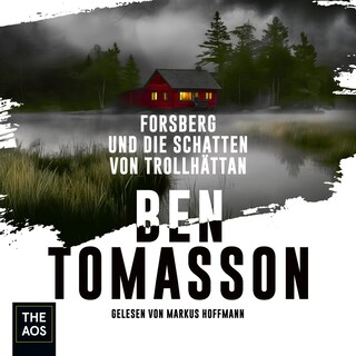 Forsberg und die Schatten von Trollhättan als Hörbuch