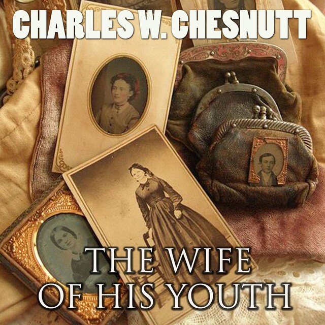 Couverture de livre pour The Wife of His Youth