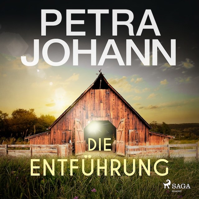 Book cover for Die Entführung