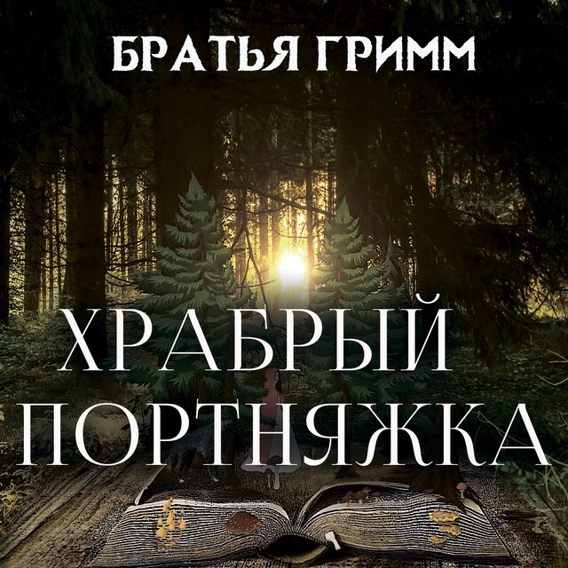 Couverture de livre pour Храбрый портняжка