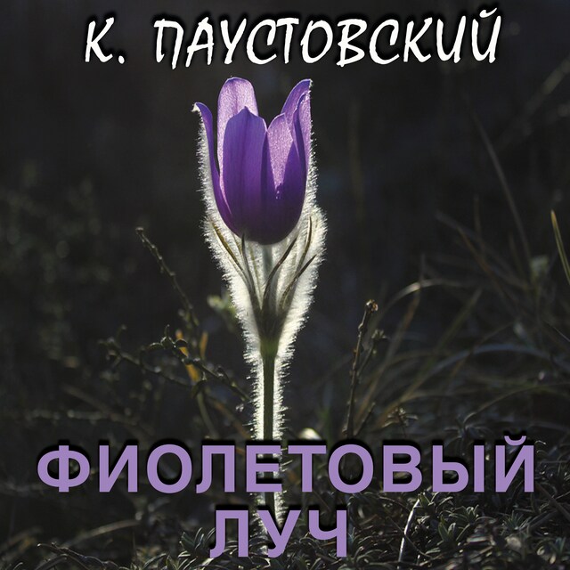 Portada de libro para Фиолетовый луч