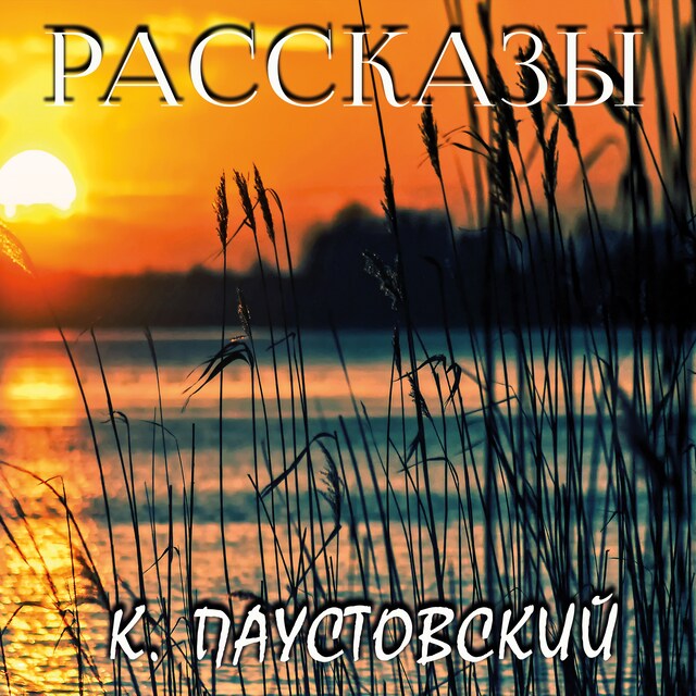 Buchcover für Рассказы