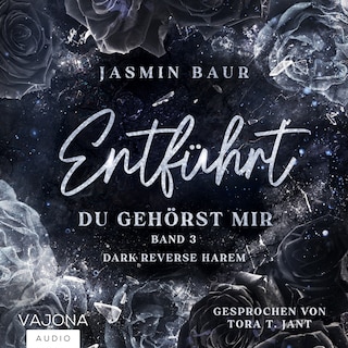 Du gehörst mir als Hörbuch