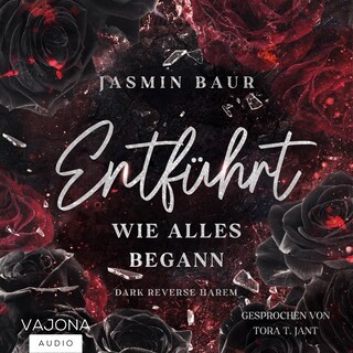 Entführt als Hörbuch
