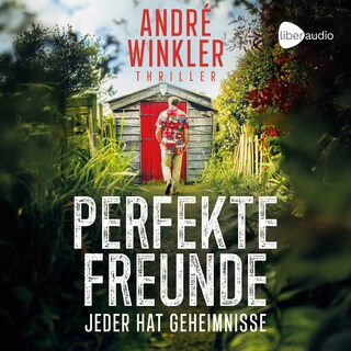 Perfekte Freunde als Hörbuch
