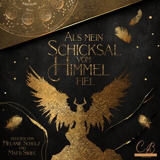 Als mein Schicksal vom Himmel fiel als Hörbuch
