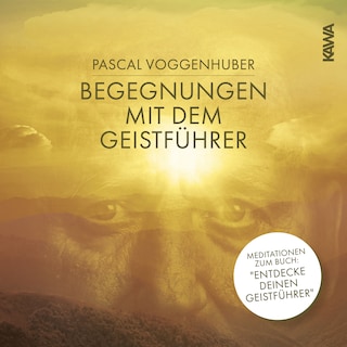 Begegnungen mit dem Geistführer als Hörbuch