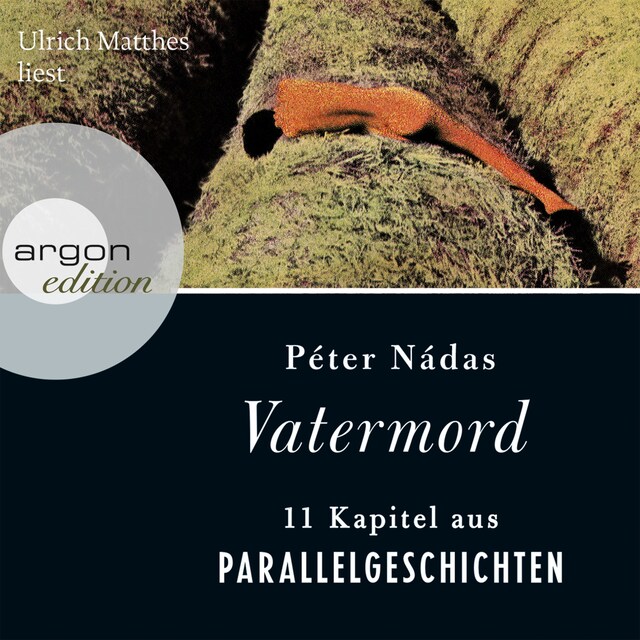 Book cover for Vatermord (Gekürzte Fassung)
