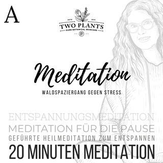 Waldspaziergang gegen Stress - Meditation A - 20 Minuten Meditation als Hörbuch