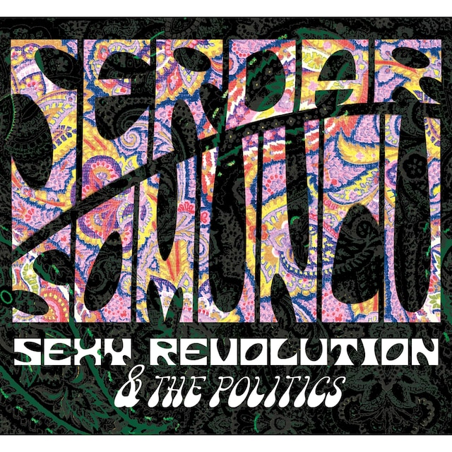 Boekomslag van Serdar Somuncu, Sexy Revolution & The Politics