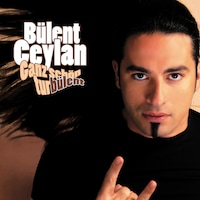 Bülent Ceylan, Ganz schön turbülent