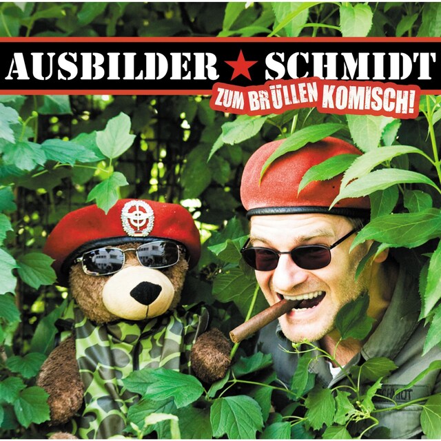 Copertina del libro per Zum Brüllen komisch!