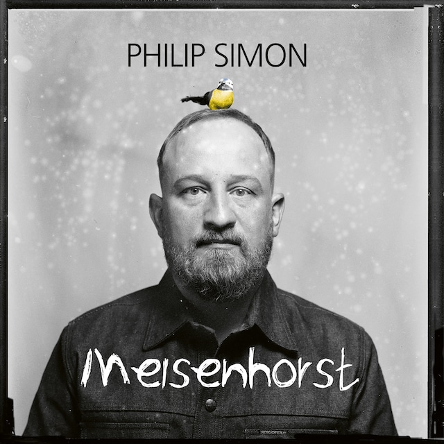 Bogomslag for Philip Simon, Meisenhorst