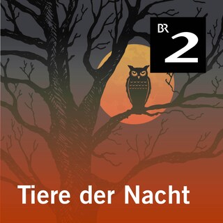 Tiere der Nacht als Hörbuch