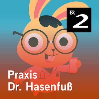 Praxis Dr. Hasenfuß als Hörbuch