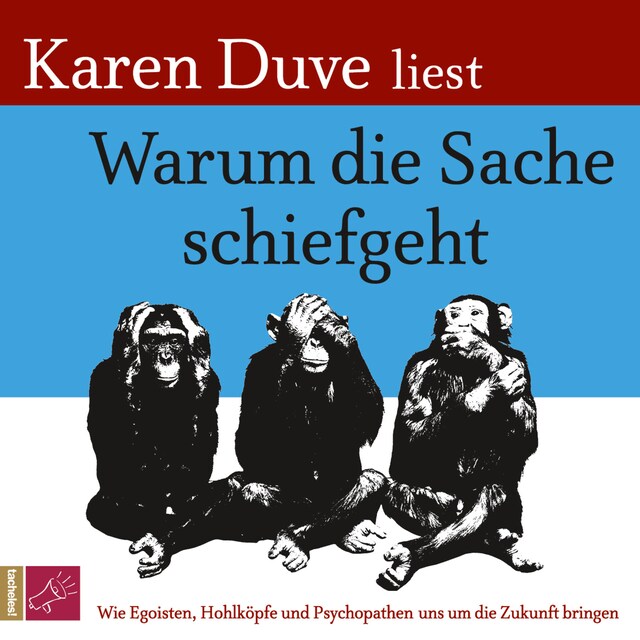 Kirjankansi teokselle Warum die Sache schiefgeht