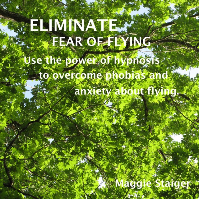 Portada de libro para Eliminate Fear of Flying - Use the Power of Hypnosis to Overcome Phobias and Anxiety About Flying (Unabridged)