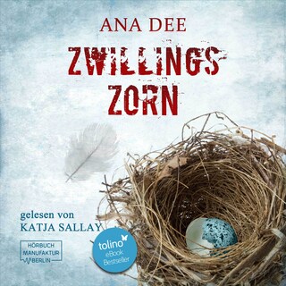 Zwillingszorn - Privatdetektiv Thomas Fields, Band 2 (ungekürzt) als Hörbuch
