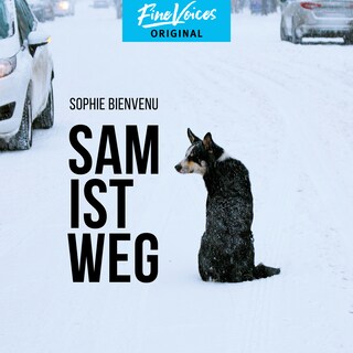 Sam ist weg (Ungekürzt) als Hörbuch