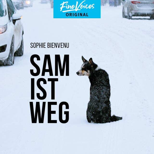 Book cover for Sam ist weg (Ungekürzt)