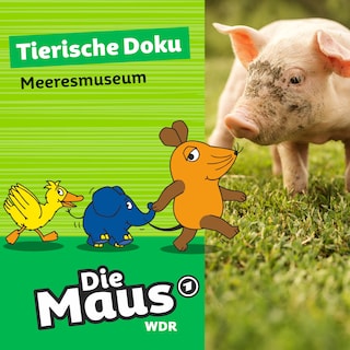 Die Maus, Tierische Doku - Meeresmuseum als Hörbuch
