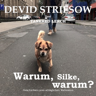 Warum, Silke, warum? - Geschichten vom alltäglichen Wahnsinn (ungekürzte Lesung) als Hörbuch