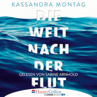 Die Welt nach der Flut als Hörbuch