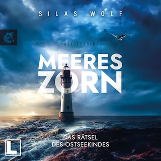 Meereszorn - Das Rätsel des Ostseekindes - Sönke Petersen, Band 2 (ungekürzt) als Hörbuch