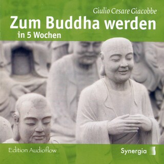 Zum Buddha werden in 5 Wochen, Episode 2 als Hörbuch